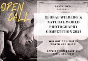 Earth.Org GLOBAL WILDLIFE COMPETITION