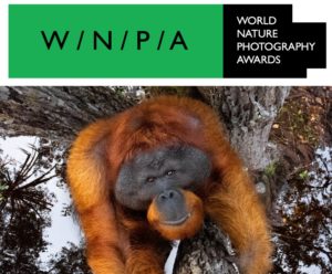 World Nature Photography Awards