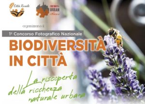 biodiversita-in-citta-la-riscoperta-della-ricchezza-naturale-urbana-2021
