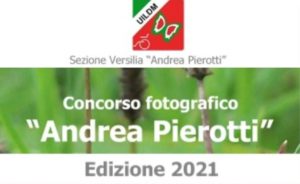 Andrea Pierotti 2021
