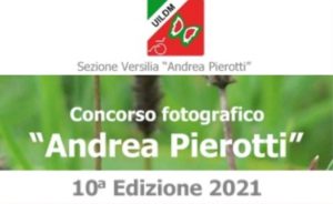 Andrea Pierotti