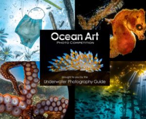 Ocean Art 2021 Underwater Photo Competition