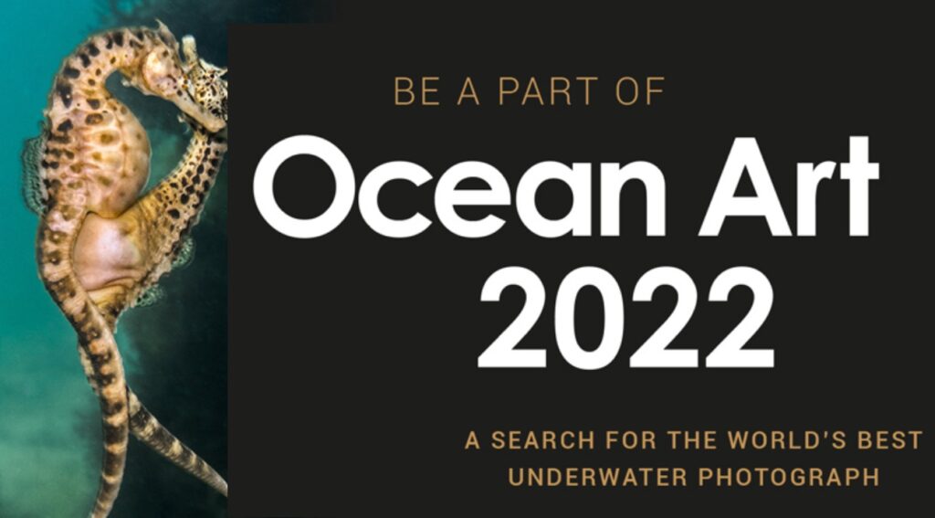 Ocean Art Underwater Photo Competition scadenza 30 Settembre 2022