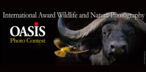 Premio di Fotografia Naturalistica Oasis