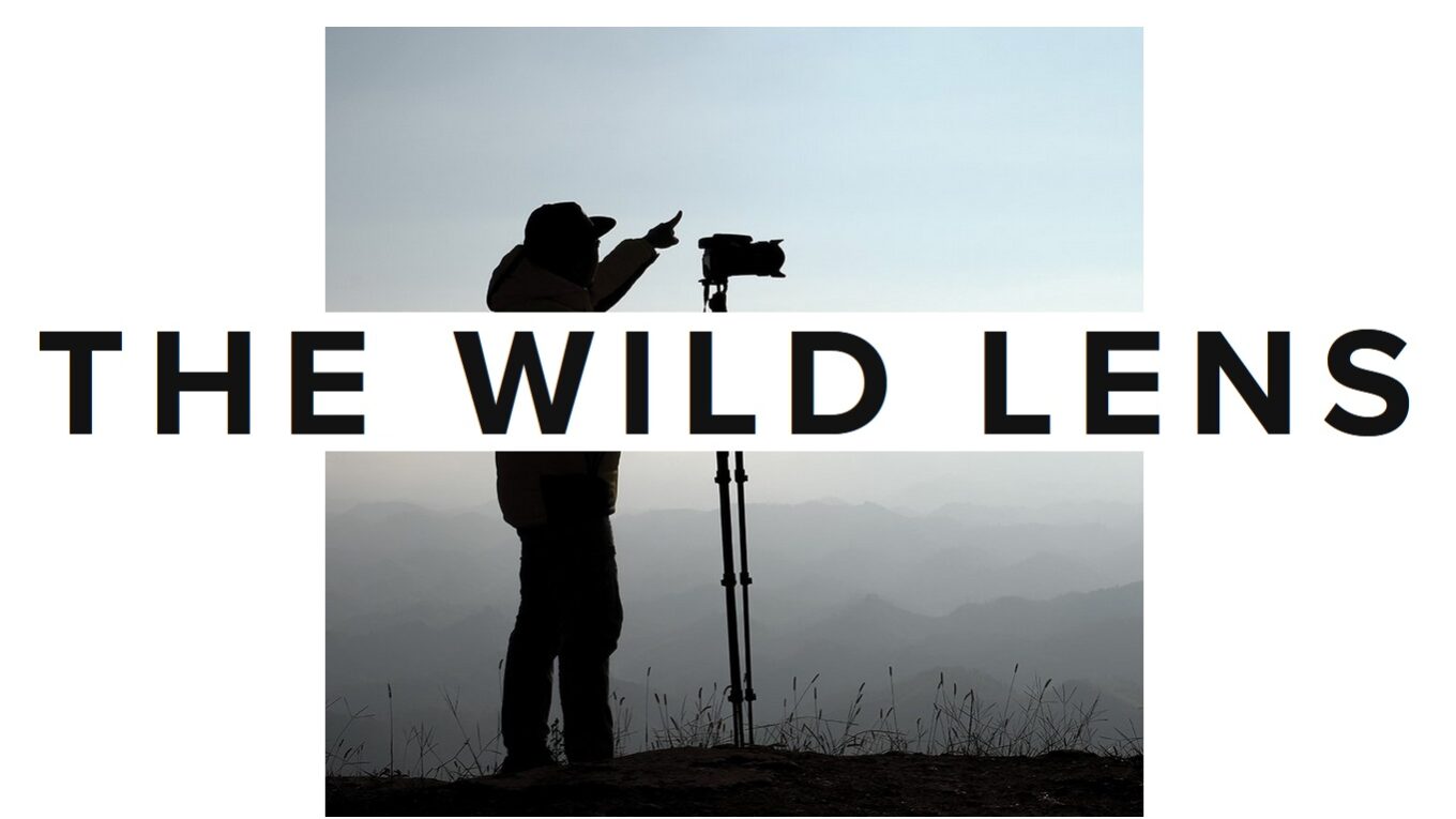 Wild Lens Wildlife Photographer of the Year