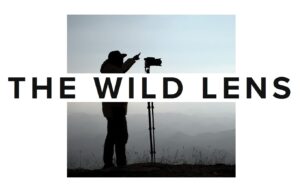 Wild Lens Wildlife Photographer of the Year