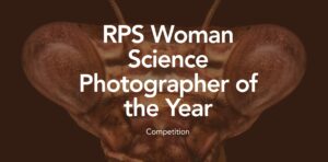 RPS Women in Photography