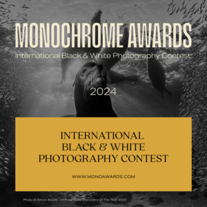 Monochrome Awards