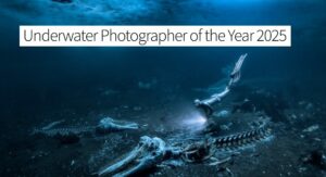 Underwater Photographer of the Year
