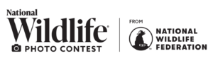 National Wildlife Photo Contest