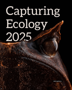 Capturing Ecology