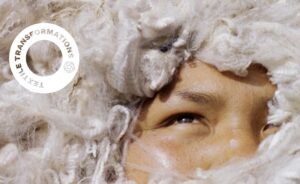 Textile Transformations