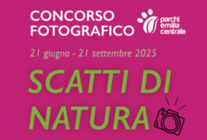 Scatti di Natura