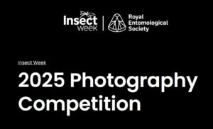 Insect Photography Competition