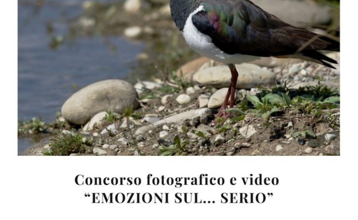 Emozioni sul Serio