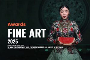 Fine Art Awards