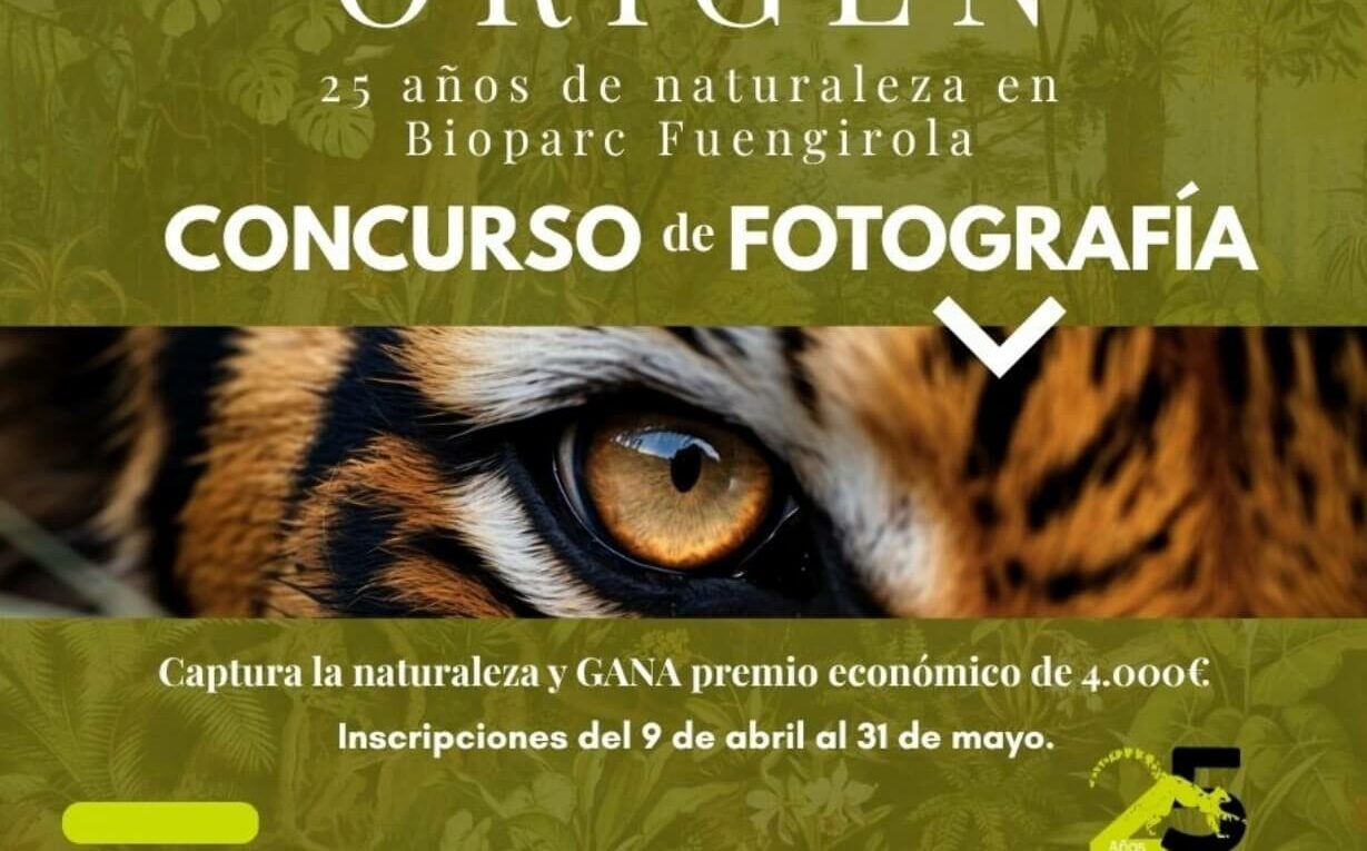 Concorso fotografico ORIGINE